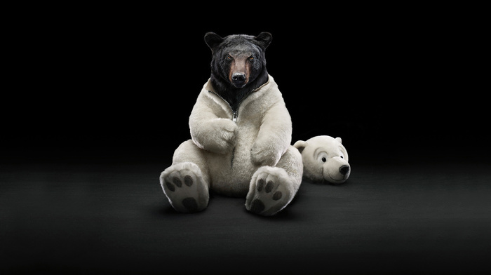 animals
