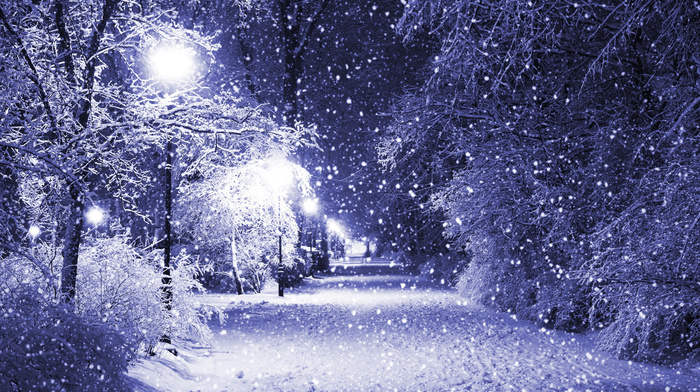 winter, night