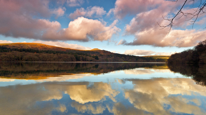 branch, sky, nature, trees, lake, water, clouds