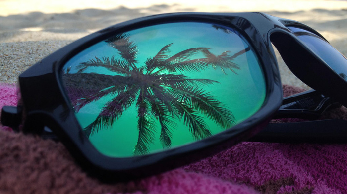 glasses, palm, stunner, reflection, beach