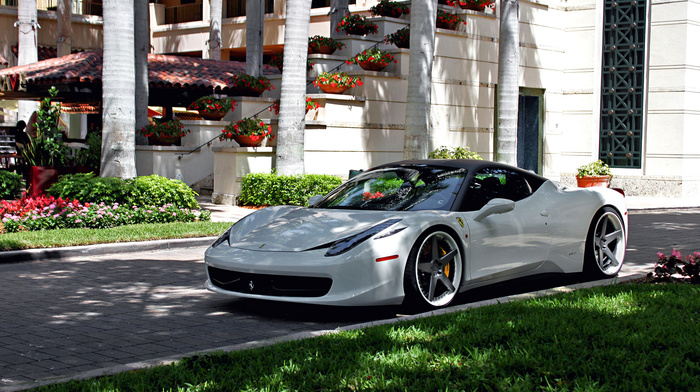 cars, ferrari