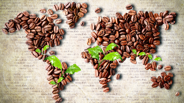 stunner, map, coffee, leaves