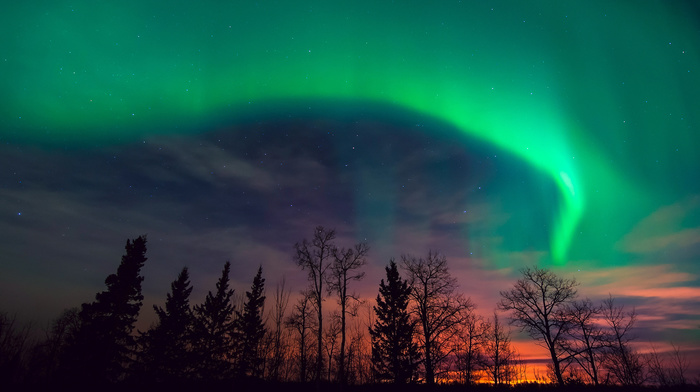 night, sunset, trees, stars, nature, sky