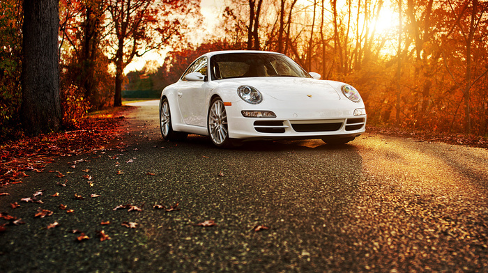 Porsche, cars, white, autumn
