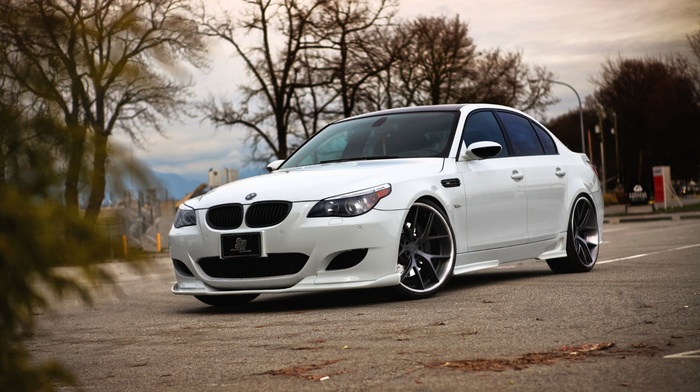 autumn, bmw, BMW, cars, white