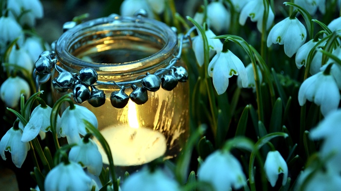 flowers, spring, fire