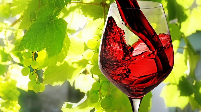 macro, wineglass, grapes, leaves, wine