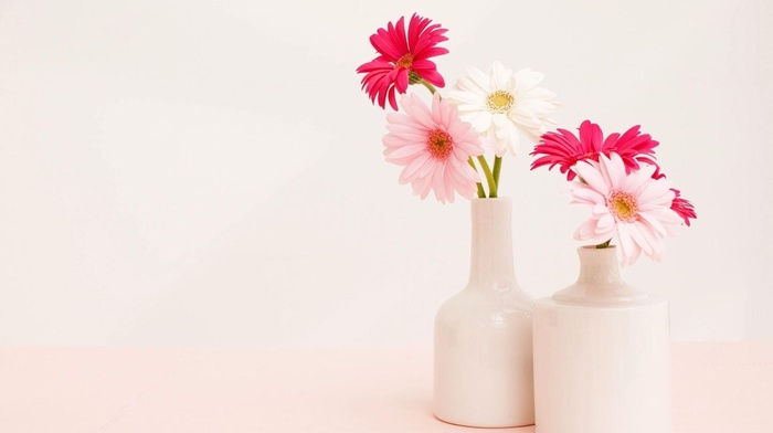 vase, background, bouquet, flowers