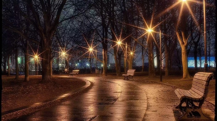 park, cities, evening