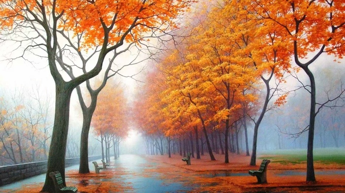 mist, autumn