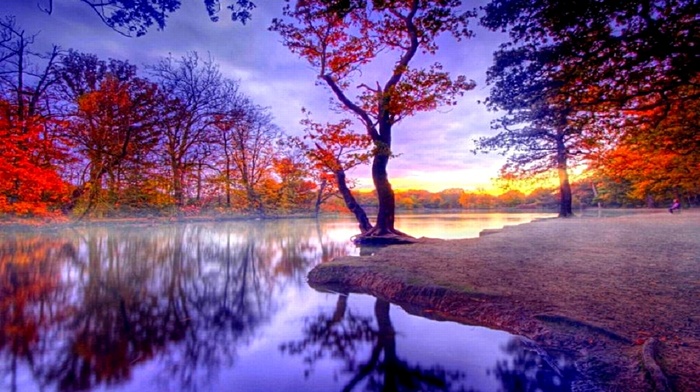 autumn, tree, river, sky