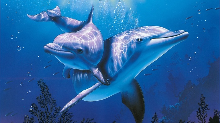ocean animals wallpaper