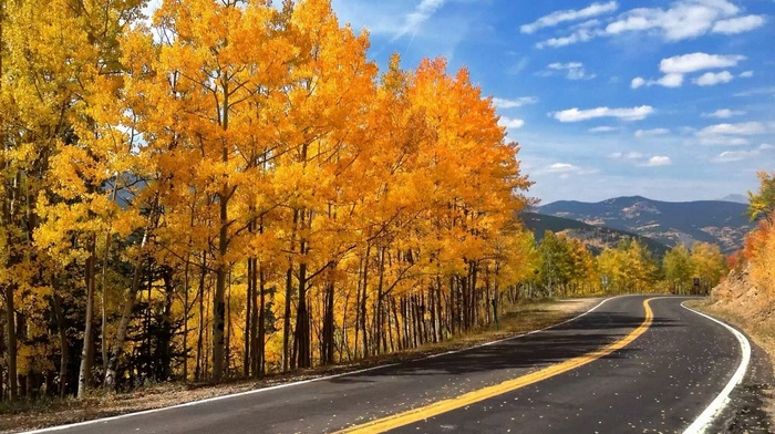 autumn, foliage, trees, road