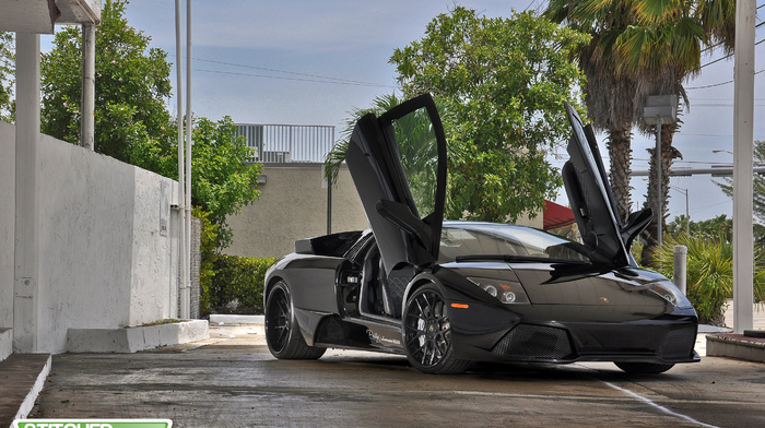 lamborghini, cars