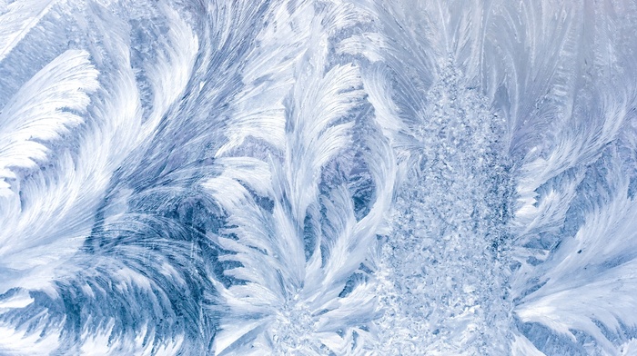 frost, winter