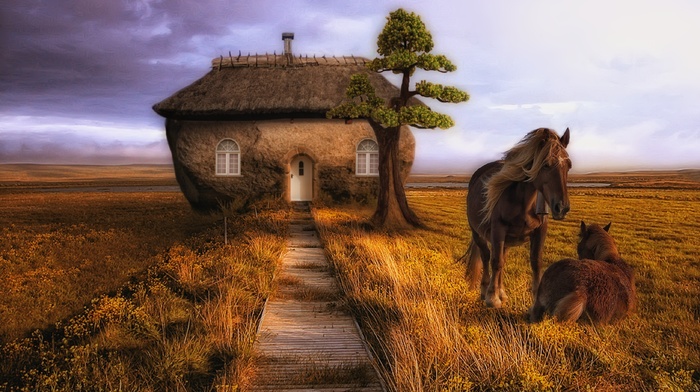 nature, tree, girl, horse, field, house
