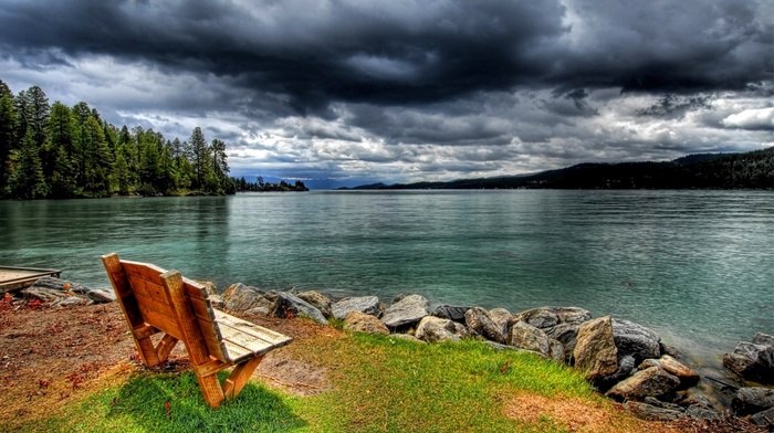 coast, trees, lake, nature