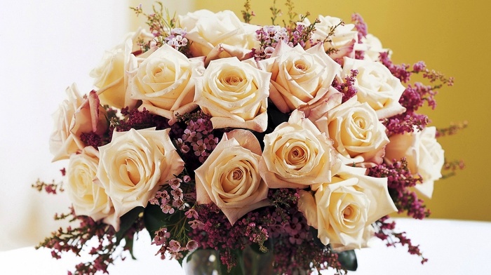 roses, flowers, bouquet