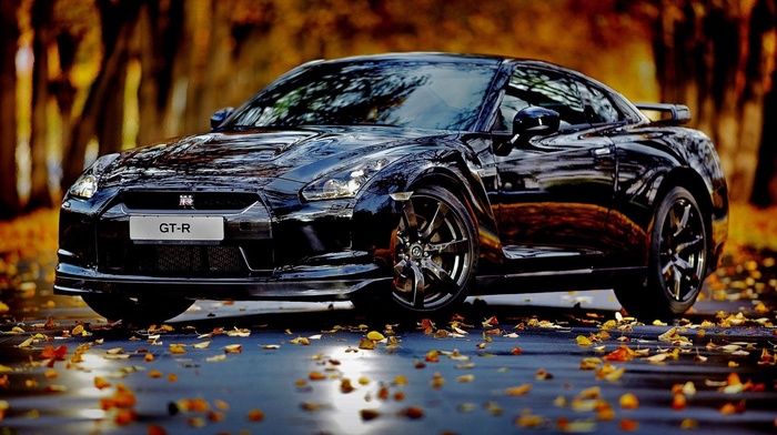 cars, car, road