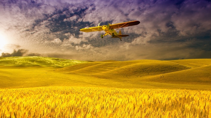 airplane, field, nature, sky, clouds