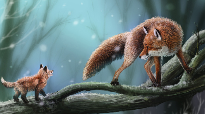 animals, fox, snow, tree, branch
