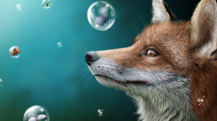 fox, stunner, bubbles, sight