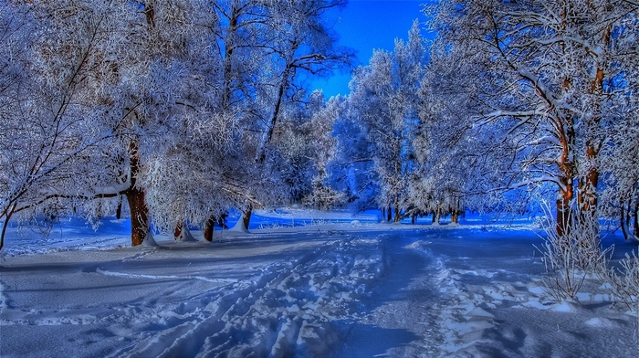 snow, winter, road