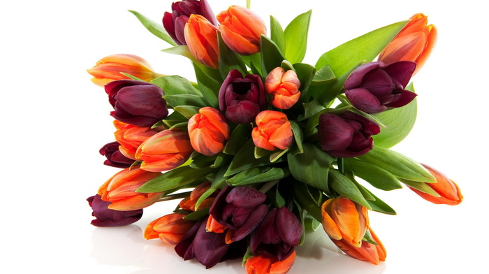 flowers, tulips, spring, flower, bouquet, nature