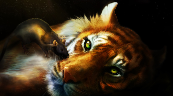 eyes, muzzle, fantasy, tiger