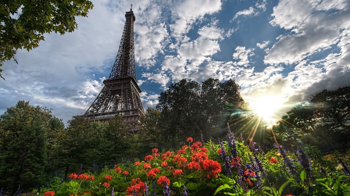 sky, trees, clouds, nature, Sun, Eiffel Tower, flowers