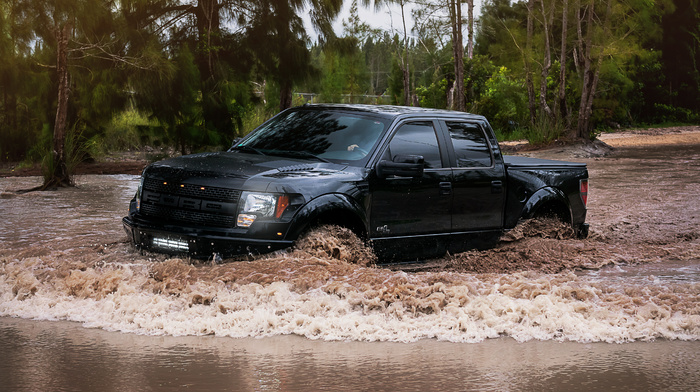 Ford, forest, cars, black