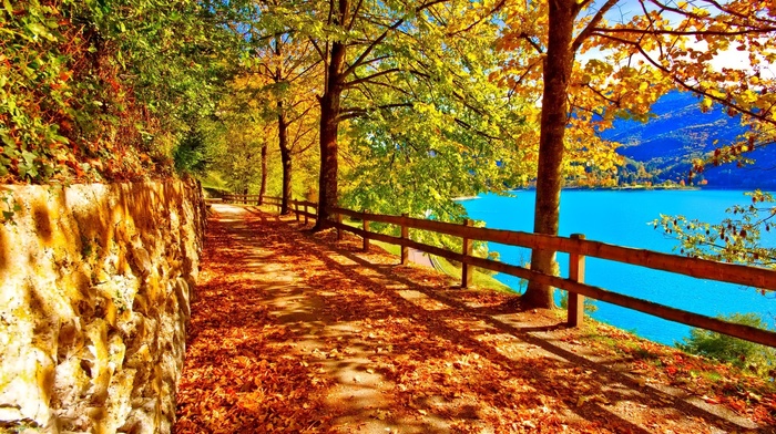 lake, autumn, trees