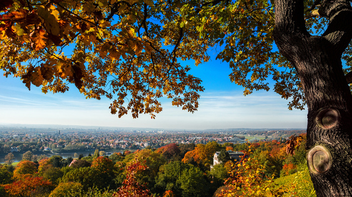 houses, Germany, tree, bridge, trees, view, autumn, nature, hill, city