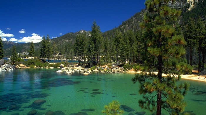 stones, lake, nature, forest