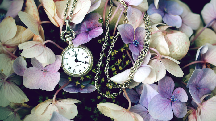 clocks, flowers, stunner