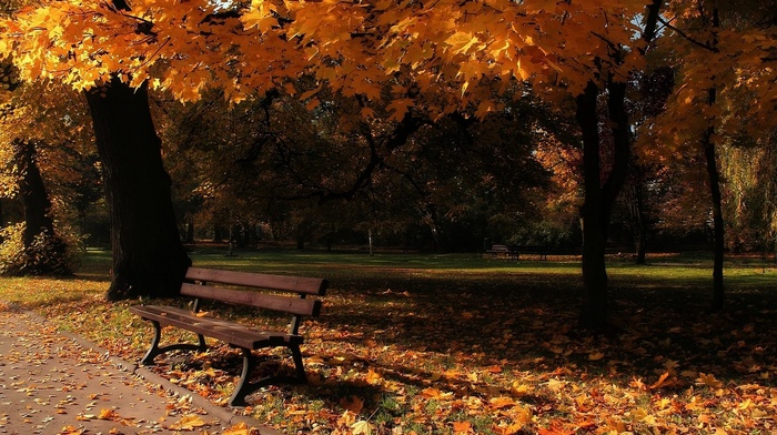 park, autumn