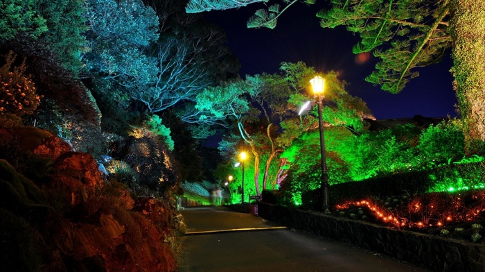 park, nature
