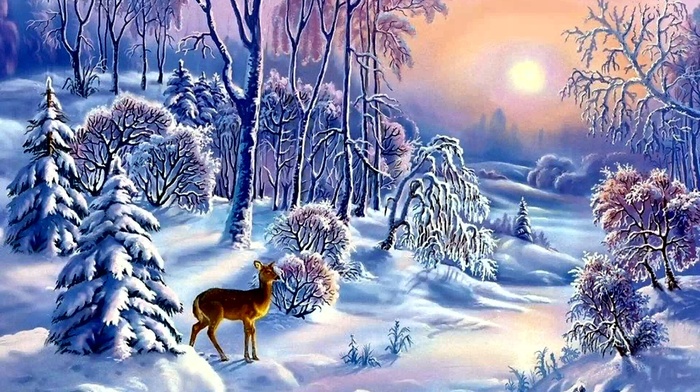 landscape, winter