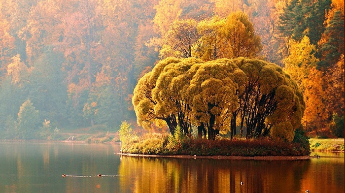 autumn, river, sky, trees