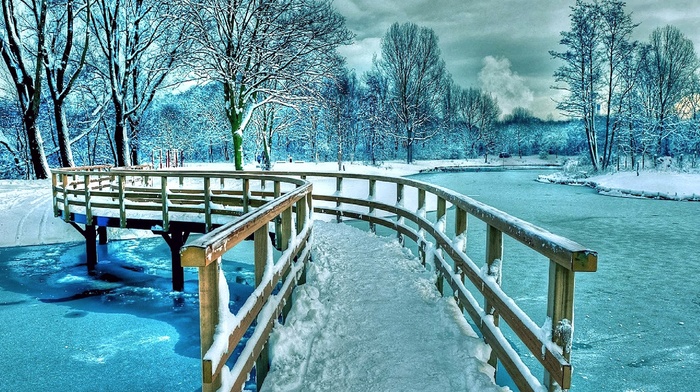 winter, trees, snow
