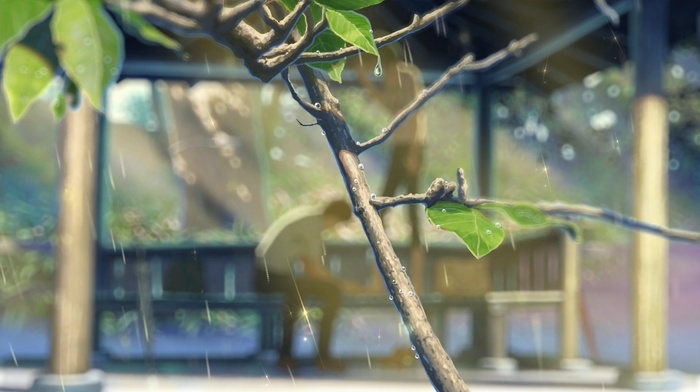 sunlight, rain, branch, Makoto Shinkai, summer