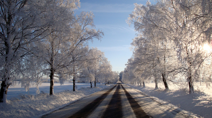 winter, snow, frost, road, trees