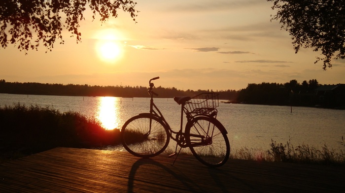 beauty, bicycle, Sun, evening, summer, sunset