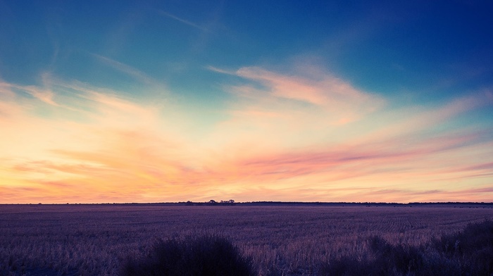 sunset, field, sky