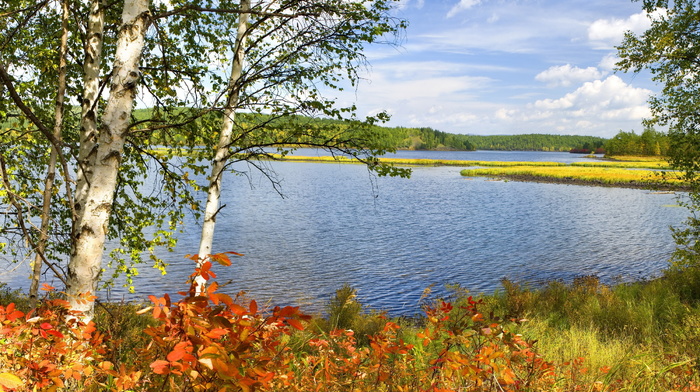 autumn, lake