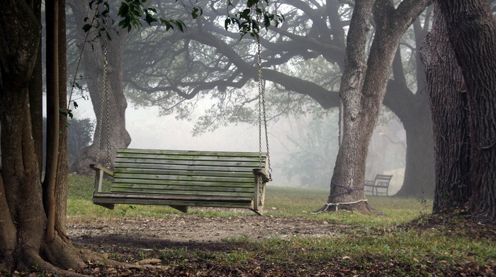 nature, park, stunner