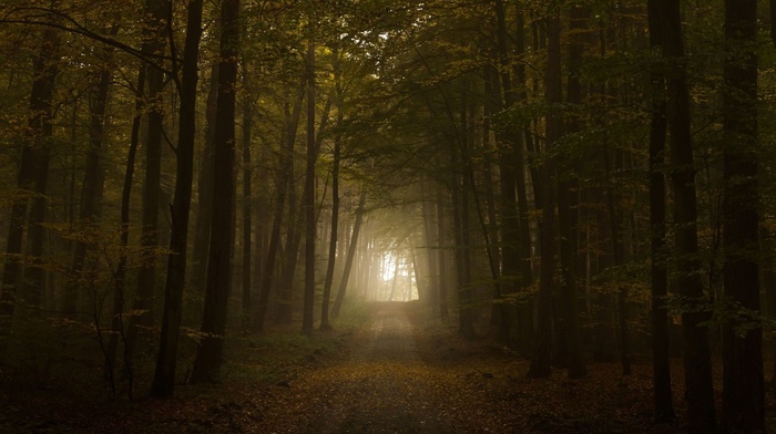 nature