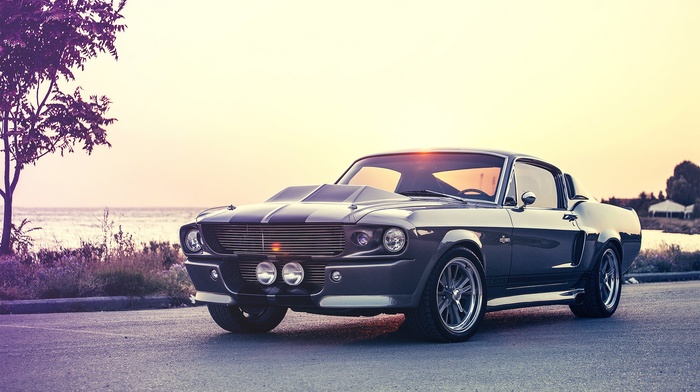 gray, car, gt500, eleanor, muscle cars, shelby