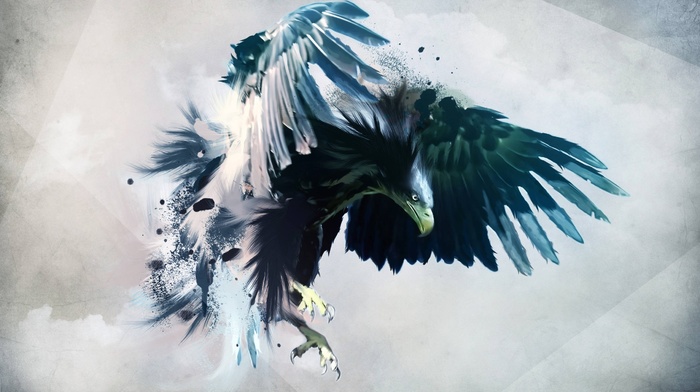 birds, simple background, artwork, painting, eagle