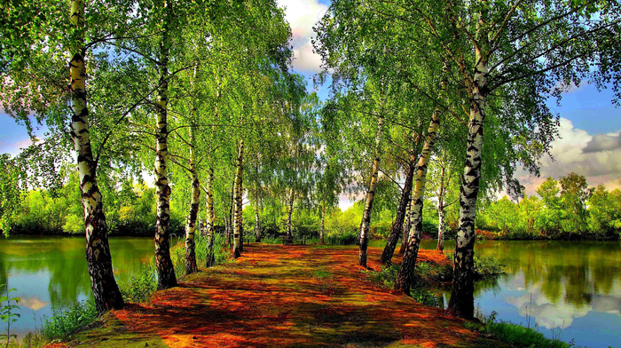 lake, nature, spring, greenery, trees